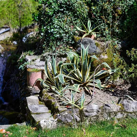 La Casa Sul Fiume